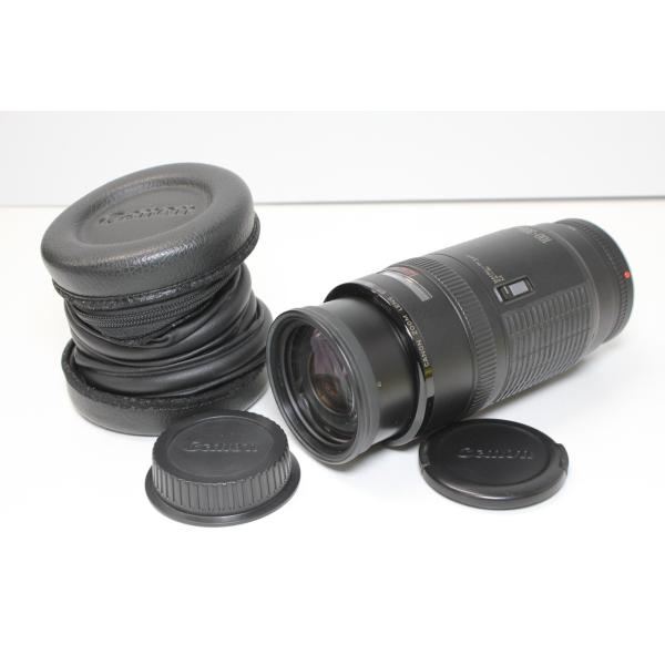 Canon/EF100-300mm F5.6/望遠ズームレンズ (6)