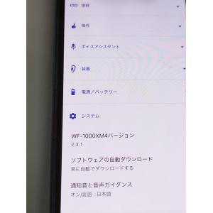 SONY WF-1000XM4/YY2948/...の詳細画像4