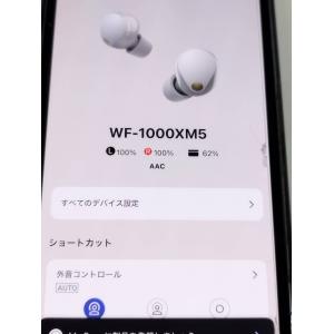 【美品】SONY WF-1000XM5/YY2...の詳細画像5