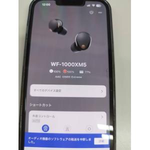 【良品】SONY WF-1000XM5/YY2...の詳細画像1