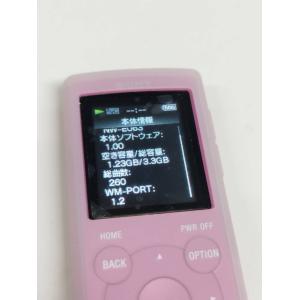 【良品】SONY ウォークマン NW-E063...の詳細画像2