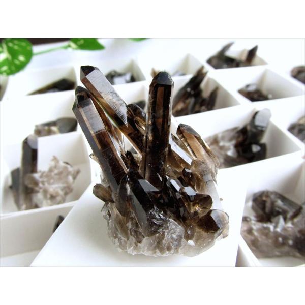 Sサイズ 1個売り アーカンソー産黒水晶ミニクラスター カード付き 平均の重さ約22.5g 限定 艶...