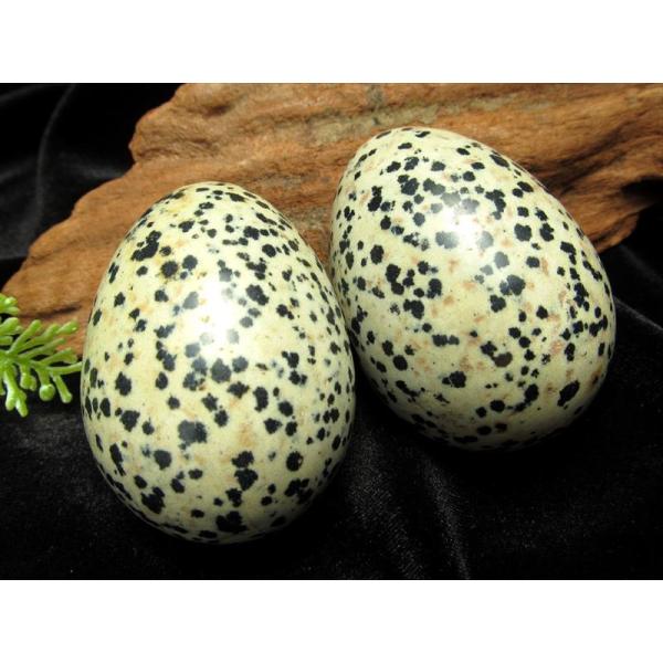 ダルメシアンジャスパー エッグ（卵型）置物 高さ約50mm 80g-90g前後 1個売り 子供のやす...