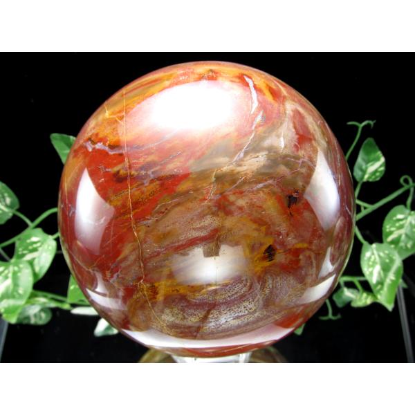 店頭展示中 迫力の大玉 珪化木 ペトリファイドウッド 丸玉 台座付 重さ4040g 直径144mm ...