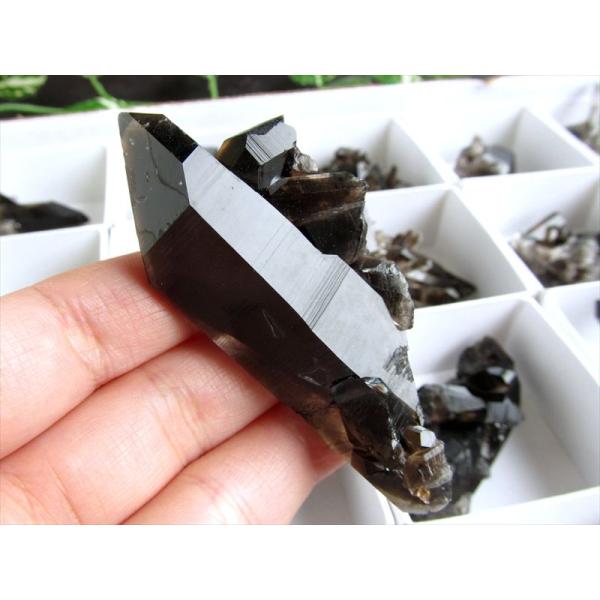 Mサイズ 1個売り アーカンソー産黒水晶ミニクラスター カード付き 平均の重さ約34.6g 箱サイズ...