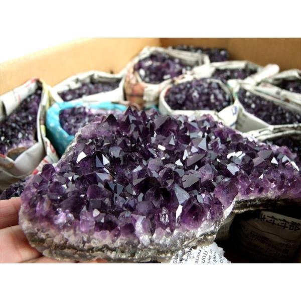 限定1箱 業者向け ウルグアイ産 5A アメジスト クラスター 箱詰め合わせ 平均約5940g箱詰め...