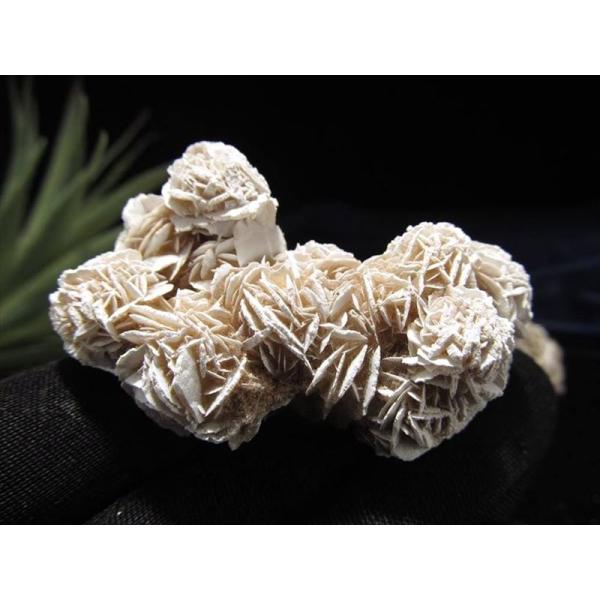 クラスタータイプ デザートローズ ジプサム・ローズ 重さ約20g-40g 1個売り 大自然のアート ...