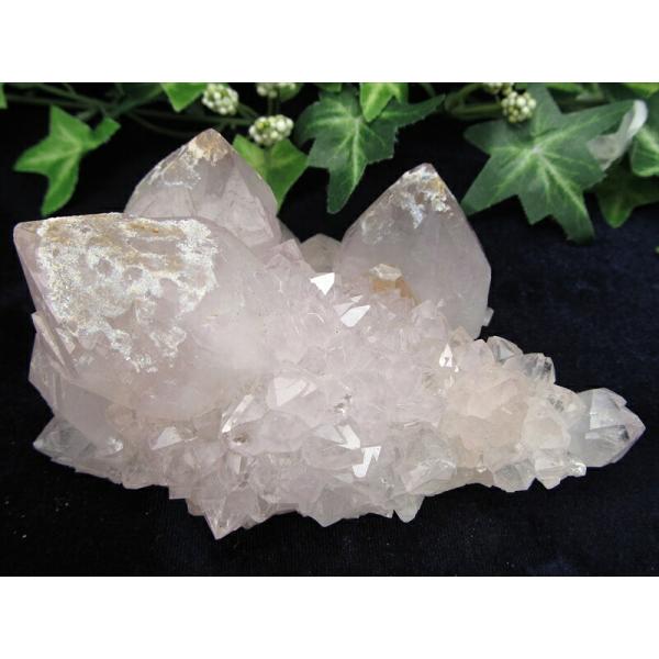 ラベンダーカラー カクタス アメジスト クラスター原石 最大幅 120mm 重さ 315g 美結晶 ...