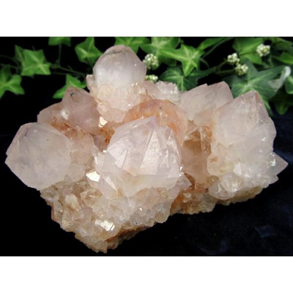 ラベンダーカラー カクタス アメジスト クラスター原石 最大幅 118mm 重さ 567g 美結晶 ...