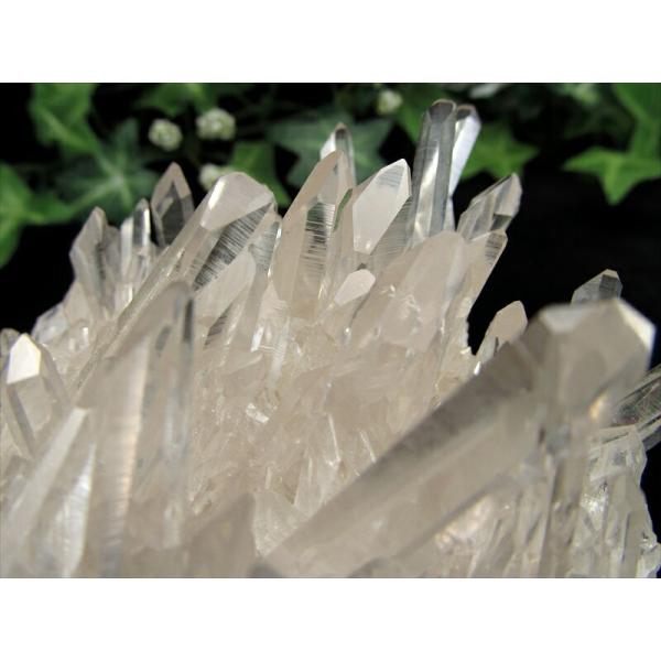 5A 世界トップレベル 美しい 水晶 アメリカ アーカンソー 産 透明 水晶 クラスター 最大幅10...