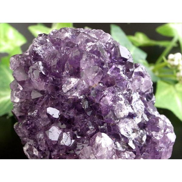 これぞ 花咲き 4A フラワー アメジスト クラスター 最大幅約56mm 重さ151g 美結晶 愛の...