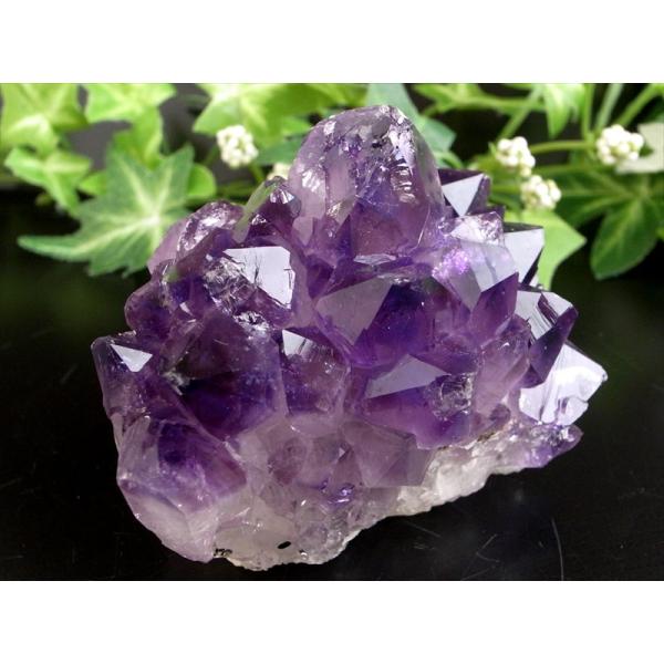 これぞ 花咲き 5A フラワー アメジスト クラスター 最大幅約65mm 重さ159g 美結晶 愛の...