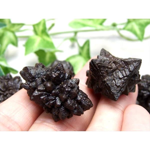 Sサイズの1個売り プロフェシーストーン (ゼットストーン) 結晶 原石 約6g-10g（幅約17-...