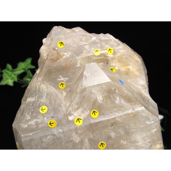 無数の水入り・レコードキーパー有 スモーキー エレスチャル クォーツ 原石 高さ約250mm 重さ3...