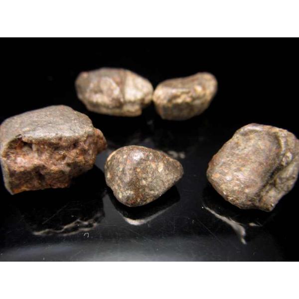 希少 限定入荷 5個セット サハラNWA869隕石(コンドライト隕石) 原石 証明書付 約13mm-...