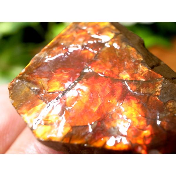 発色良好 アンモライト ドラゴンスキン 竜の鱗 原石 最大幅約30mm 重さ約15.3g 1点物 パ...