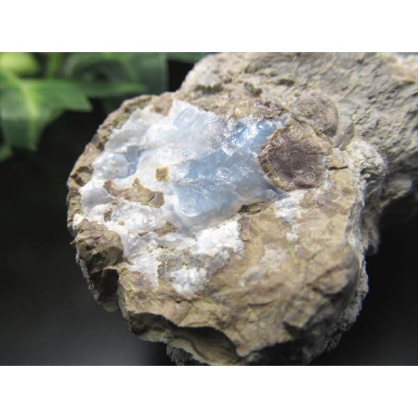 希少 国産原石 青色オパール 原石 重さ70.5g サイズ約54mm×38mm ブルーオパール ナチ...