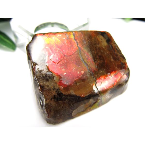 発色良好 アンモライト ドラゴンスキン 竜の鱗 原石 最大幅約35mm 重さ約11.7g 1点物 生...