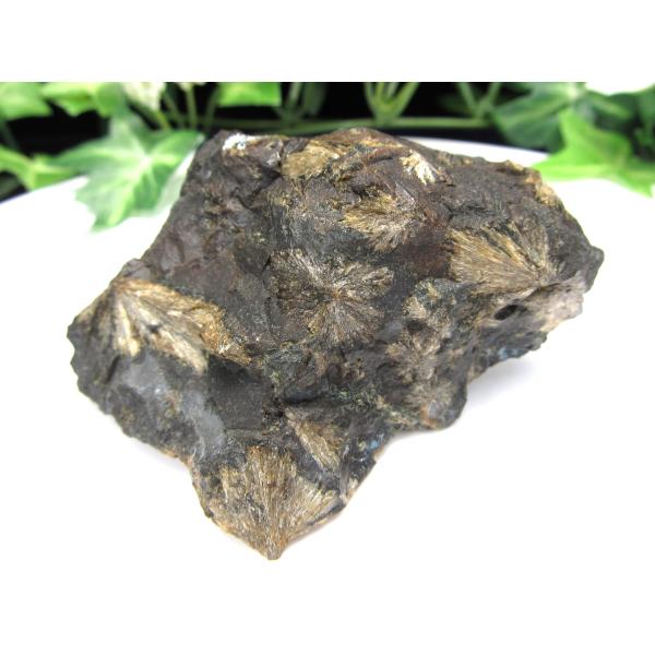 希少 国産原石 頑火輝石 エンスタタイト 原石 重さ110g 見事な放射状の輝石 岩手県下閉伊郡川井...