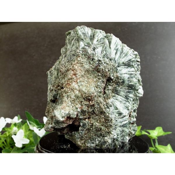 超レア 流通量極少結晶 天使の羽根のような美しさ セラフィナイト クリノクロア 原石 木製専用台座付...