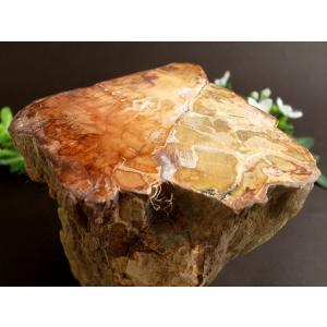 珪化木 ペトリファイドウッド プレート 置物 重さ500g-600g 神秘なる大