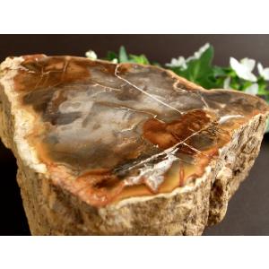 珪化木 ペトリファイドウッド プレート 置物 重さ500g-600g 神秘なる大