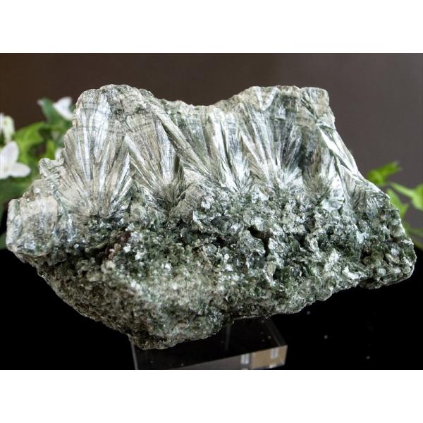 超レア 流通量極少結晶 天使の羽根のような美しさ セラフィナイト クリノクロア・天使の羽 原石 台座...