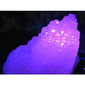 大人気の妖艶なピンク色発光 蛍光ピンクカルサイト 原石 コレクションケース付 高さ 62mm 重さ 51g 持ち主の心を包み込むような強力な癒し ストレスの緩和