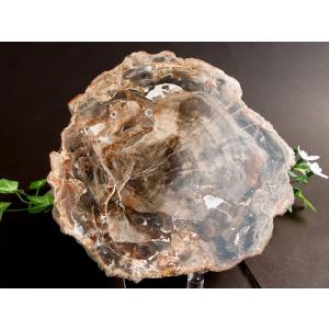 珪化木 ペトリファイドウッド プレート 置物 最大幅 161mm 重さ 1228g 神秘なる大自然の力 ウッドストーン 博愛・真心・希望 木の化石 パワーストーン 天然石