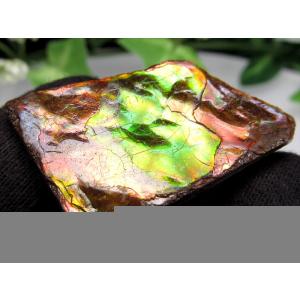 4A アンモライト 原石 最大幅約32mm 重さ約5.7g 1点物 生物起源の宝石 幸運を呼び込む石 フロートコレクションケース付き 極上一点物 カナダ産