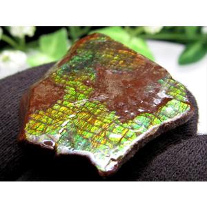 3A アンモライト ドラゴンスキン 竜の鱗 原石 最大幅約33mm 重さ約9.2g 1点物 生物起源の宝石 幸運を呼び込む石 極上一点物 カナダ産 パワーストーン 天然石