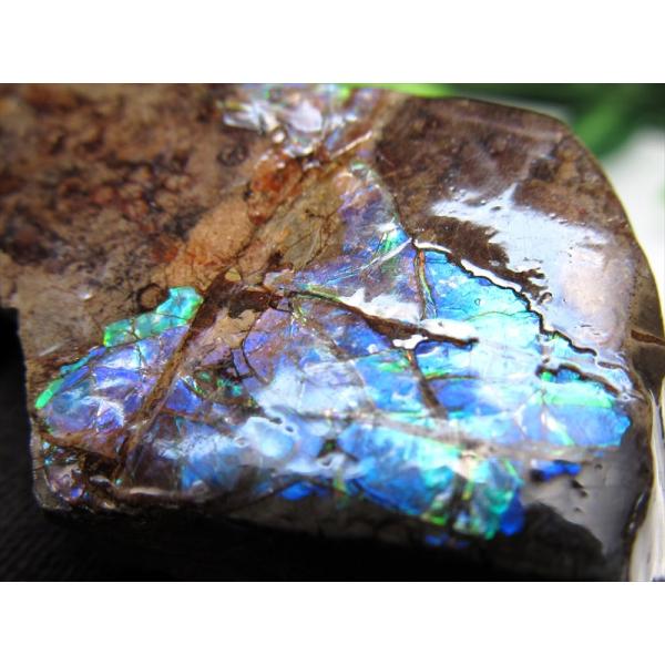 3A アンモライト ドラゴンスキン 竜の鱗 原石 最大幅約47mm 重さ約21.0g 1点物 生物起...
