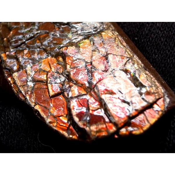 4A アンモライト 原石 最大幅約29mm 重さ約14.7g 1点物 生物起源の宝石 幸運を呼び込む...
