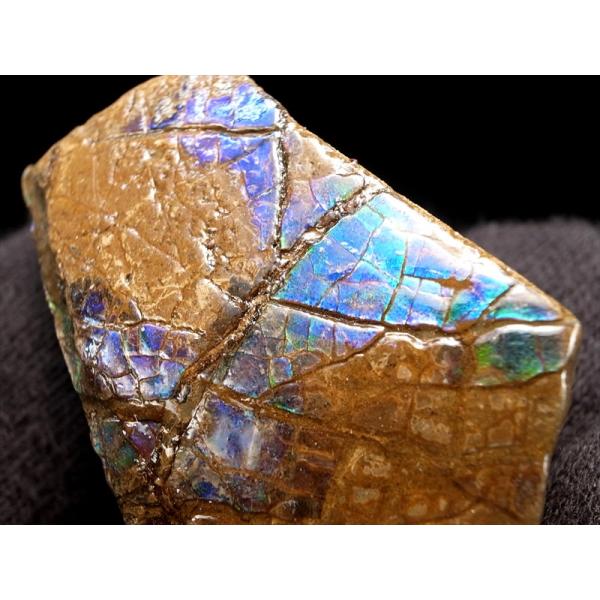 3A アンモライト 原石 最大幅約32mm 重さ約12g 1点物 生物起源の宝石 幸運を呼び込む石 ...