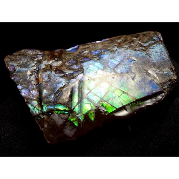 3A アンモライト 原石 最大幅約43mm 重さ約16.1g 1点物 生物起源の宝石 幸運を呼び込む...