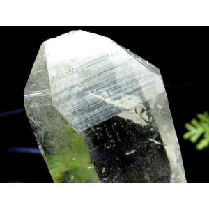 『地球最後の秘境』ヒマラヤより直送 マニカラン産水晶 タビュラー型 原石 最大幅約54mm 約49g キングオブクォーツ 稀少1点物 ギャランティカード付き