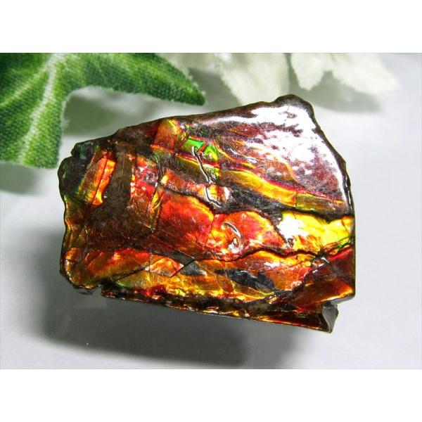 5A アンモライト 原石 最大幅約25.5mm 重さ約4.5g 1点物 生物起源の宝石 幸運を呼び込...