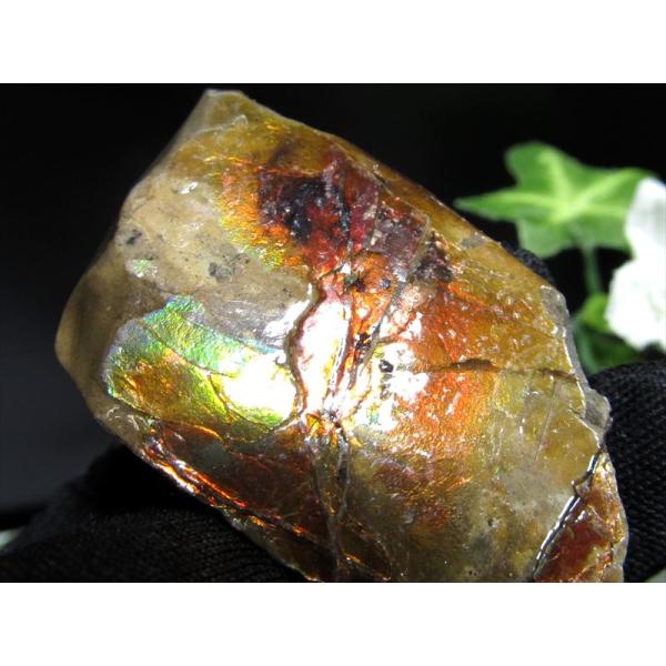 4A アンモライト 原石 最大幅44mm 重さ21.5g 1点物 生物起源の宝石 幸運を呼び込む石 ...