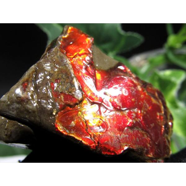 4A アンモライト 原石 最大幅32.5mm 重さ20.1g 1点物 生物起源の宝石 幸運を呼び込む...