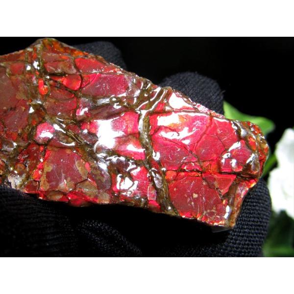 4A アンモライト ドラゴンスキン 竜の鱗 原石 最大幅55mm 重さ13.5g 1点物 生物起源の...