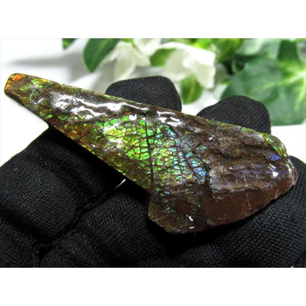 4A アンモライト ドラゴンスキン 竜の鱗 原石 最大幅52mm 重さ7.6g 1点物 生物起源の宝...