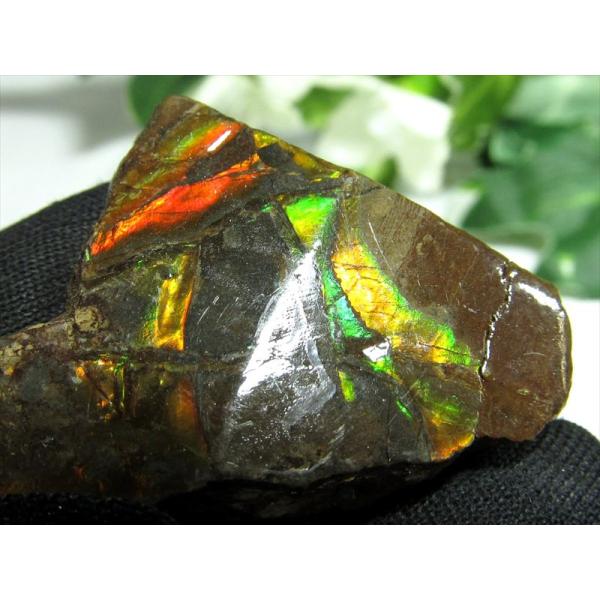 4A アンモライト 原石 最大幅35mm 重さ9.6g 1点物 生物起源の宝石 幸運を呼び込む石 極...