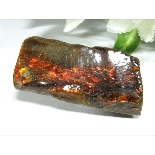 4A アンモライト 原石 最大幅35.5mm 重さ7.9g 1点物 生物起源の宝石 幸運を呼び込む石...