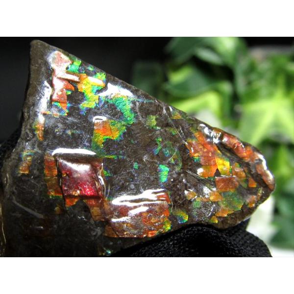 4A アンモライト 原石 最大幅32mm 重さ7.8g 1点物 生物起源の宝石 幸運を呼び込む石 極...