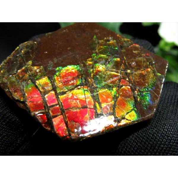 4A アンモライト ドラゴンスキン 竜の鱗 原石 最大幅32mm 重さ7.7g 1点物 生物起源の宝...