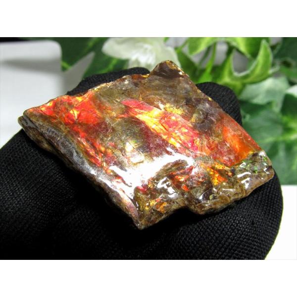 4A アンモライト 原石 最大幅35mm 重さ7.5g 1点物 生物起源の宝石 幸運を呼び込む石 極...