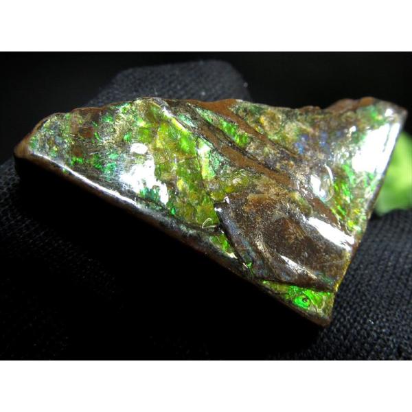 4A アンモライト 原石 最大幅27.5mm 重さ7.1g 1点物 生物起源の宝石 幸運を呼び込む石...