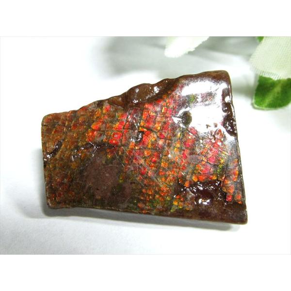 4A アンモライト ドラゴンスキン 竜の鱗 原石 最大幅29mm 重さ5.4g 1点物 生物起源の宝...