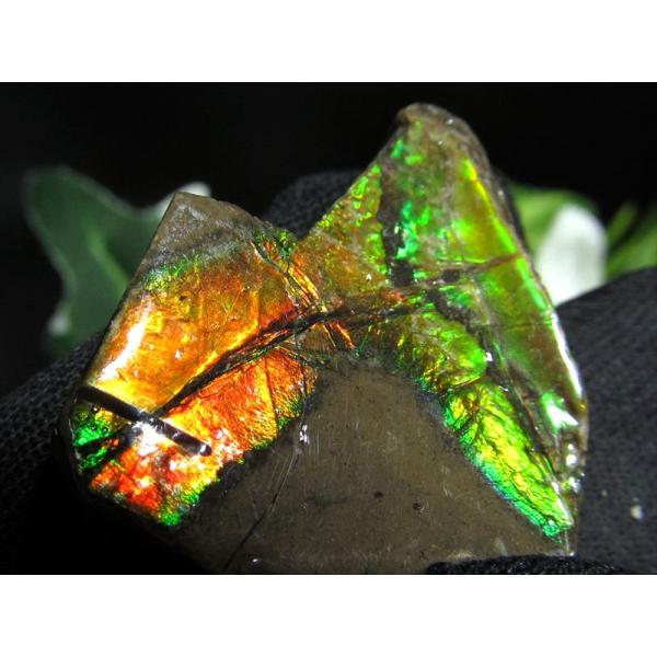 4A アンモライト 原石 最大幅24.5mm 重さ4.4g 1点物 生物起源の宝石 幸運を呼び込む石...