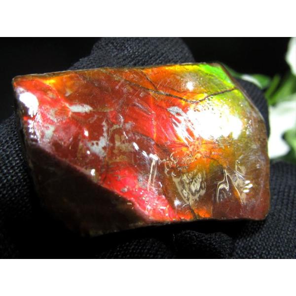 4A アンモライト 原石 最大幅32mm 重さ4.3g 1点物 生物起源の宝石 幸運を呼び込む石 極...